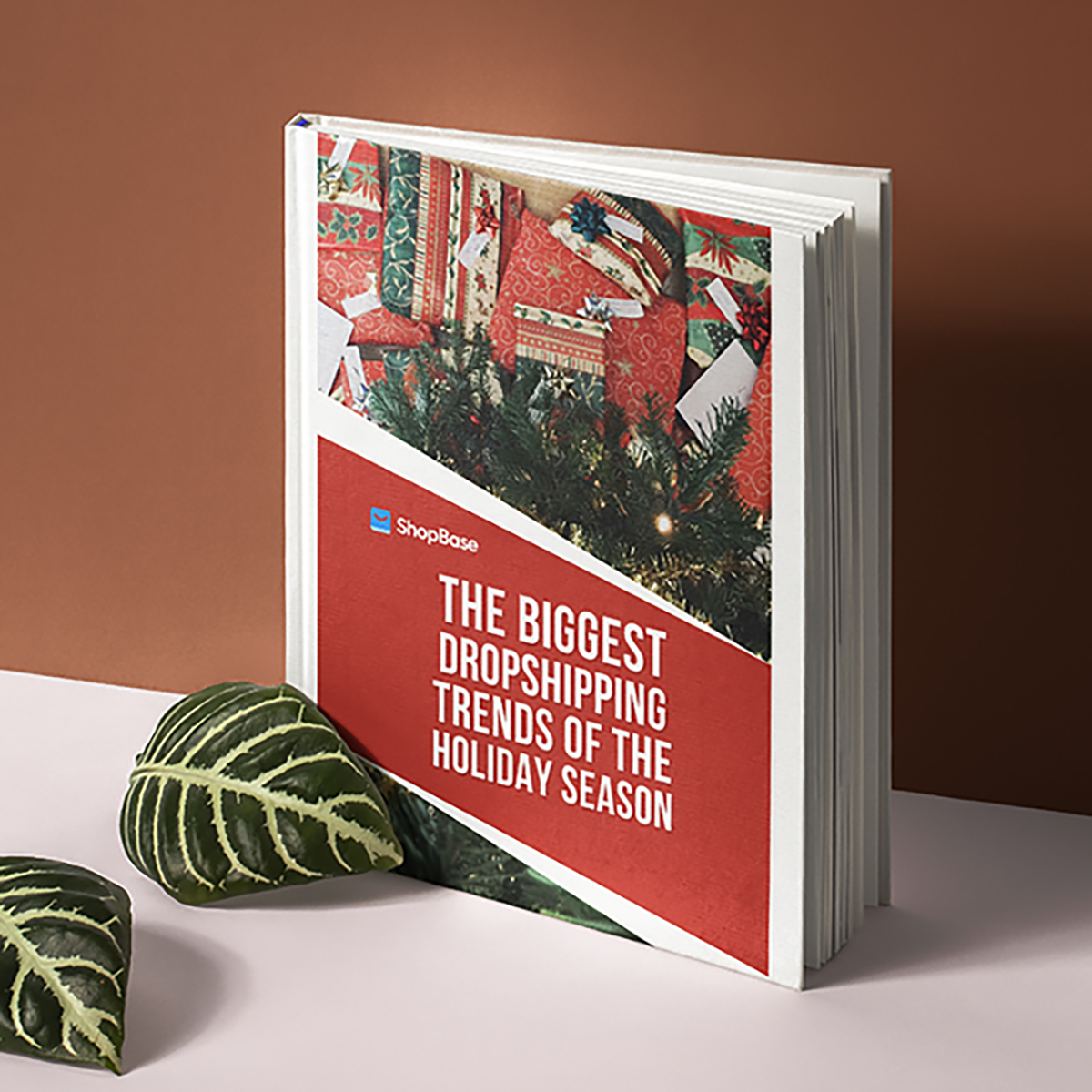 shopbase book
