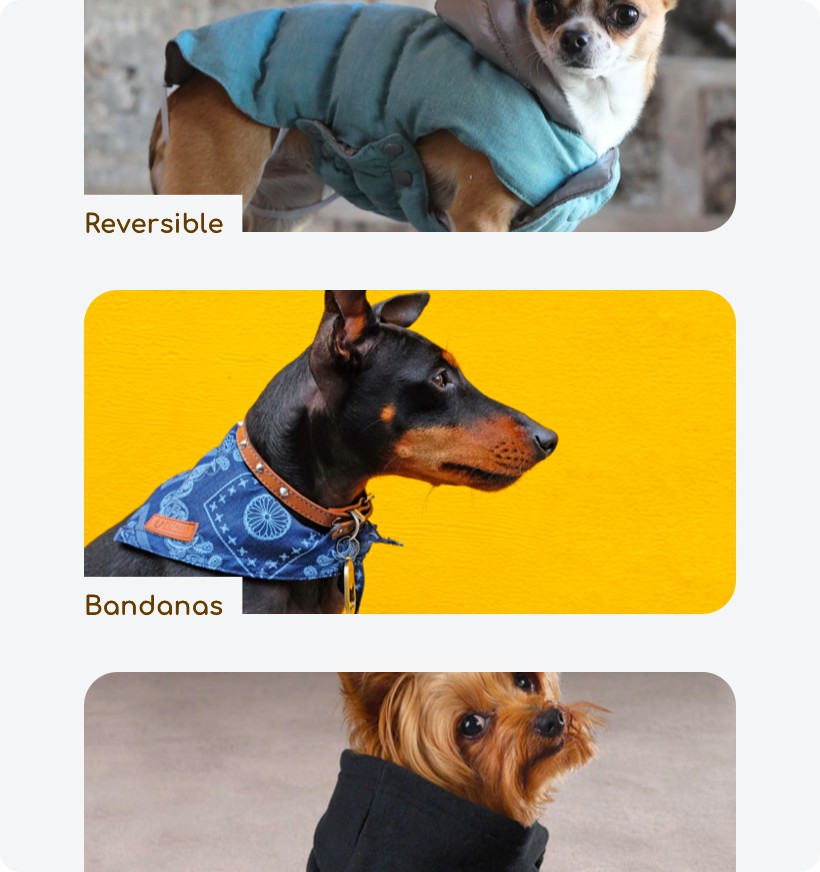 shopbase graphic 22